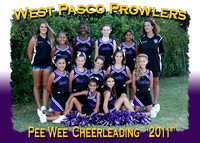 West Pasco Prowlers Cheerleaders 2011