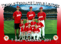 Temple Terrace Little League T-BALL 3-19-2011