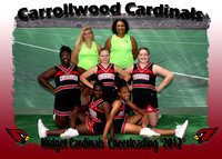 Carrollwood Cardinals Cheerleaders 2012