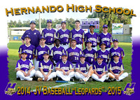Hernando HS Baseball 2014-2015