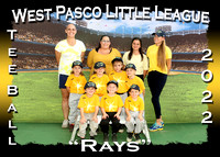 West Pasco Little League Tee Ball Fall 2022