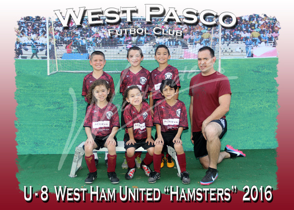 107- U - 8  West Ham United Hamsters