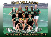 The Villages Buffalos Cheerleading 2012