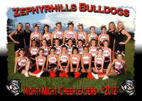 Zephyrhills Bulldogs Cheerleading 2012