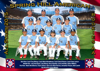 Spring Hill Dixie All Stars 2015