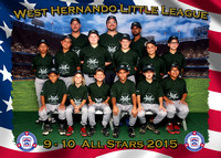 West Hernando LL All Stars 2015