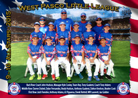 West Pasco LL All Stars 2015