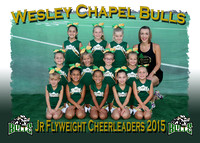 Wesley Chapel Bulls Cheerleaders 2015
