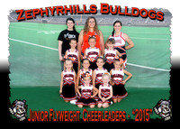 Zephyrhills Bulldogs Cheerleaders 2015