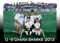 West Pasco Futbol Club 2013