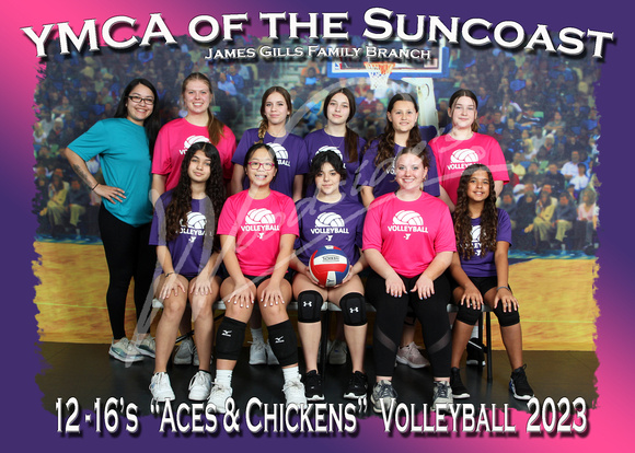 303- 12-16 Aces and Chickens