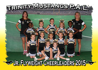 Trinity Mustangs Cheerleaders 2015