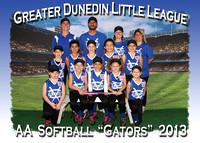Greater Dunedin Softball 2013