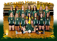 Lecanto HS Volleyball 2015-2016