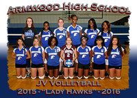 Armwood HS Volleyball 2015-2016