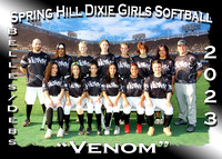 Spring Hill Dixie Girls Softball Spring 2023