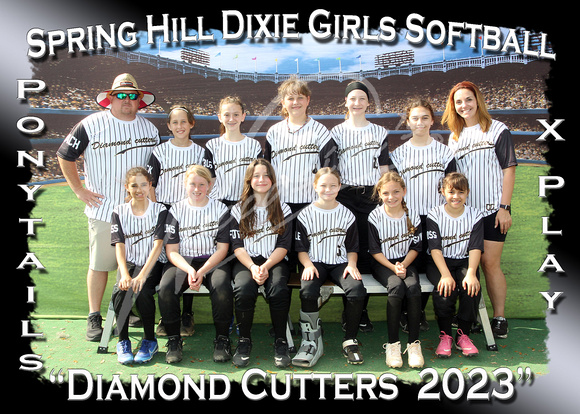 208- Ponytails X Play Diamond Cutters