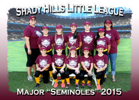 Shady Hills LL Softball Fall 2015
