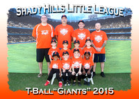 Shady Hills LL T-Ball Fall 2015
