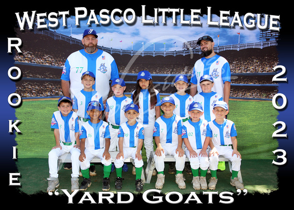 126- Rookie Yard Goats