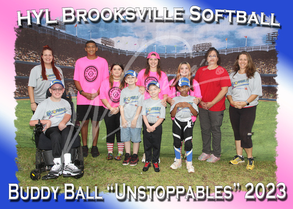 102- Buddy Ball Unstoppables