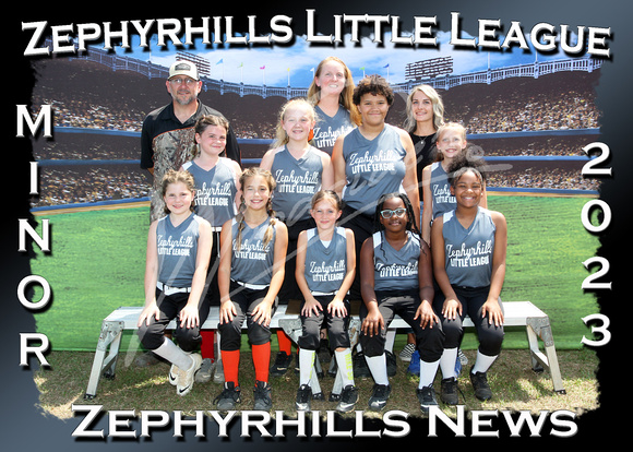 135- Minor SB Zephyrhills News