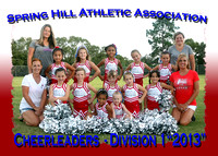 Spring Hill Athletic Association Cheerleading 2013