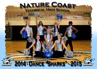 Nature Coast HS Dance 2014-2015