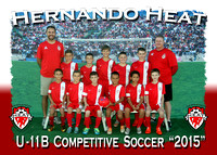 First Hernando Youth Soccer & Hernando Heat 2015