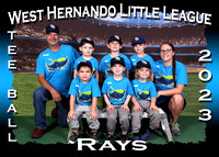 West Hernando Little League TEE BALL Spring 2023