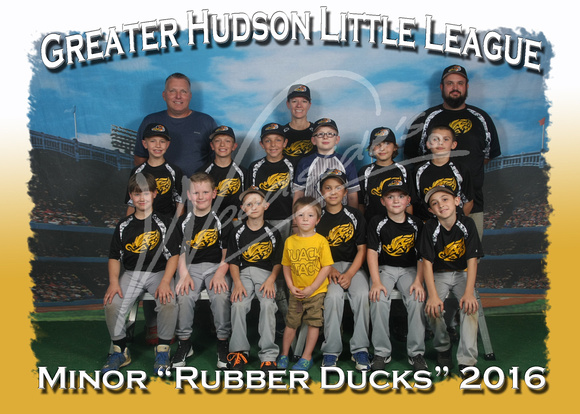 201 Minor Rubber Ducks