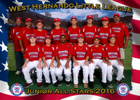 West Hernando LL All Stars 2016