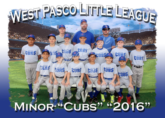 106 Minor Cubs