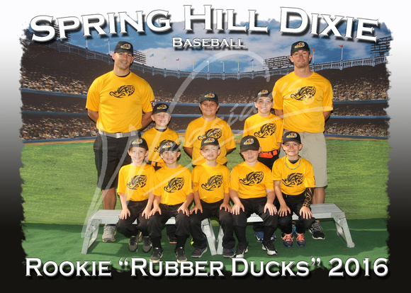 114 Rookie rubber ducks