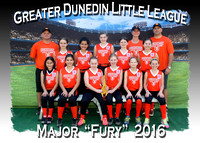 Greater Dunedin LL Softball Spring 2016