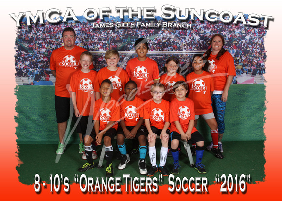 107- Orange Tigers