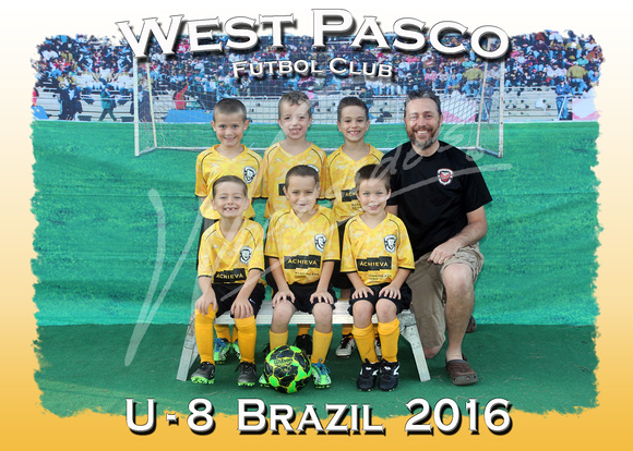 106- U - 8  Brazil  2016