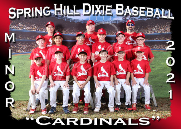 103- Minor Cardinals