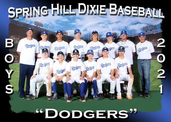 119- Boys Dodgers
