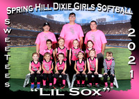 Spring Hill Dixie Girls Softball Spring 2021