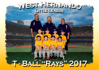 West Hernando T- Ball Spring 2017