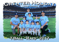Greater Holiday LL T-Ball Spring 2017