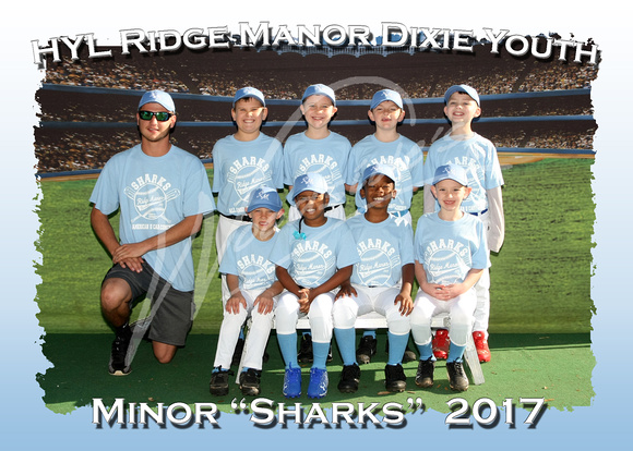109- Minor Sharks 5x7