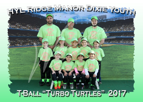 106- T Ball Turbo Turtles 5x7