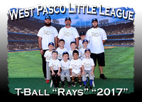 West Pasco LL T-Ball Spring 2017