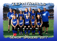 Zephyrhills LL Softball Spring 2017