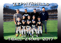 Zephyrhills LL T-Ball Spring 2017