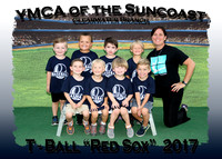 Clearwater YMCA T-Ball 4-28-17