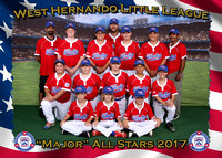 West Hernando LL All Stars 2017