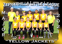 Zephyrhills Little League Softball Spring 2021